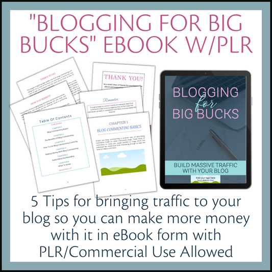 Blogging for Big Bucks eBook Template w/PLR